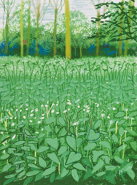 英国画家 大卫·霍克尼(david hockney) 风光绘画