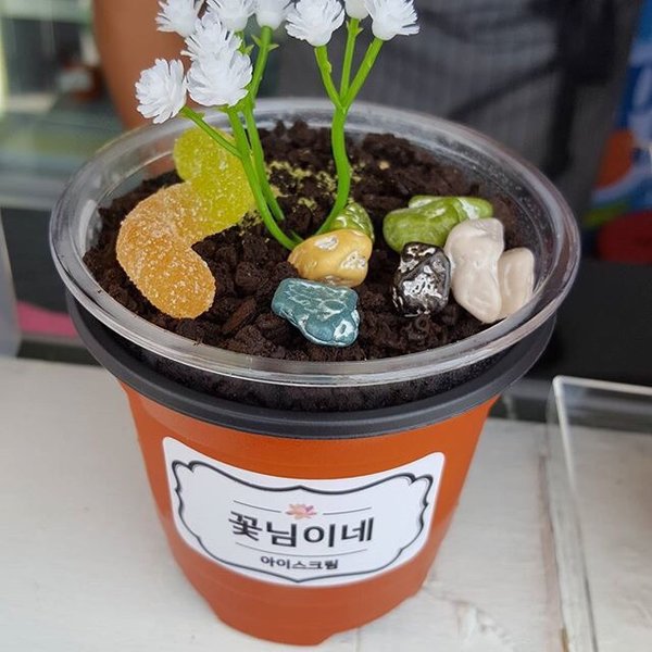 盆栽冰淇淋