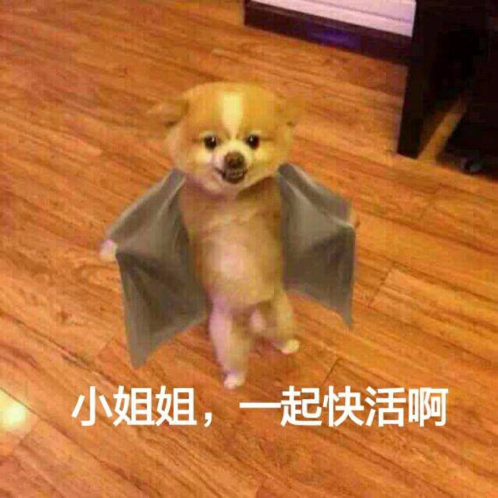 表情包 可爱 呆萌 搞笑 gif 颜文字 污表情 卡通 动漫 手绘 暴走漫画