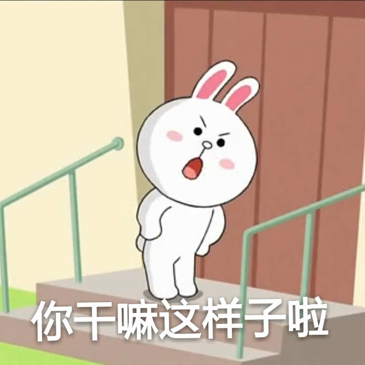 line可妮兔 表情包 你干嘛这样子啦