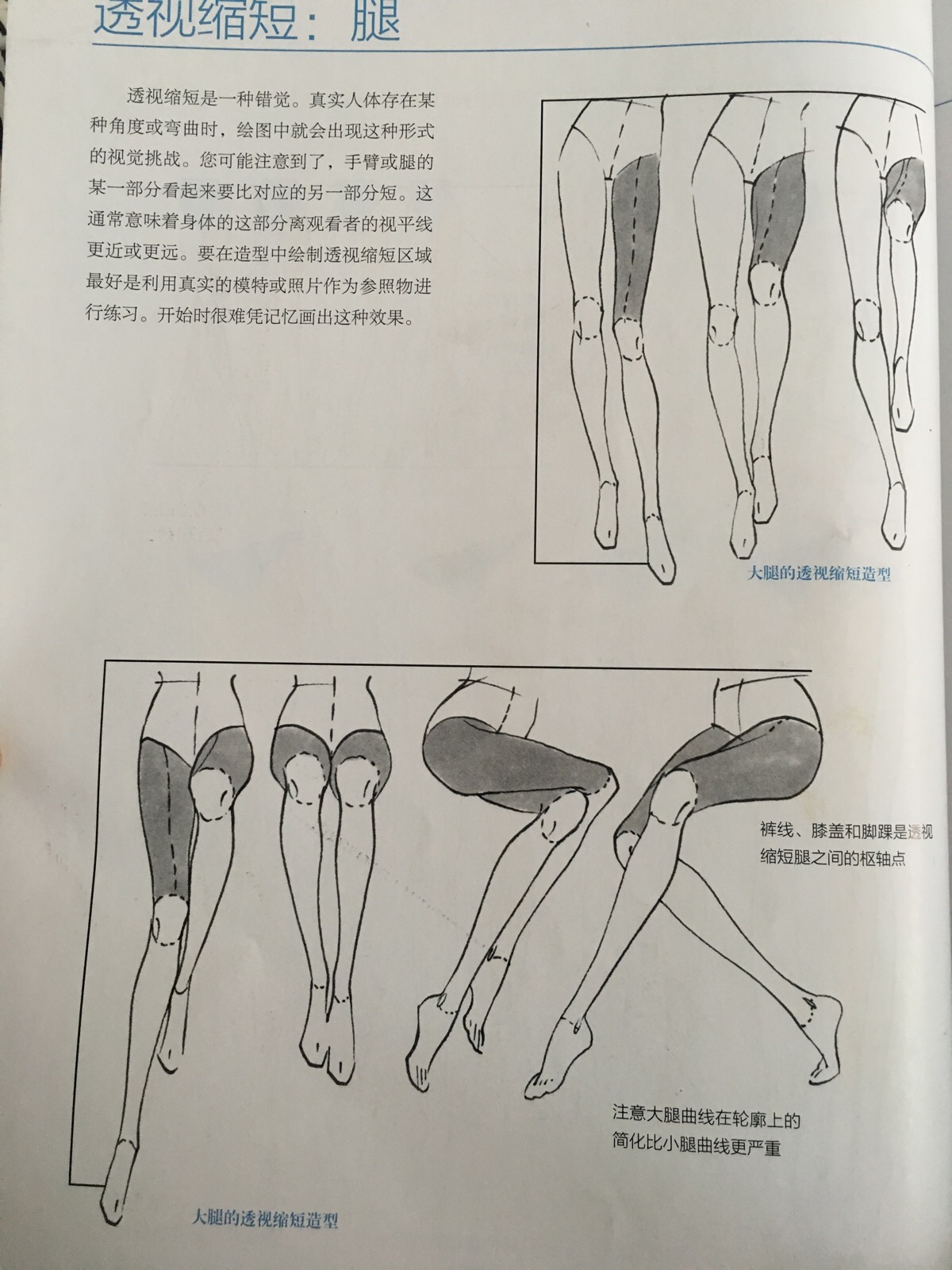 《美国经典时装画技法》绘制腿