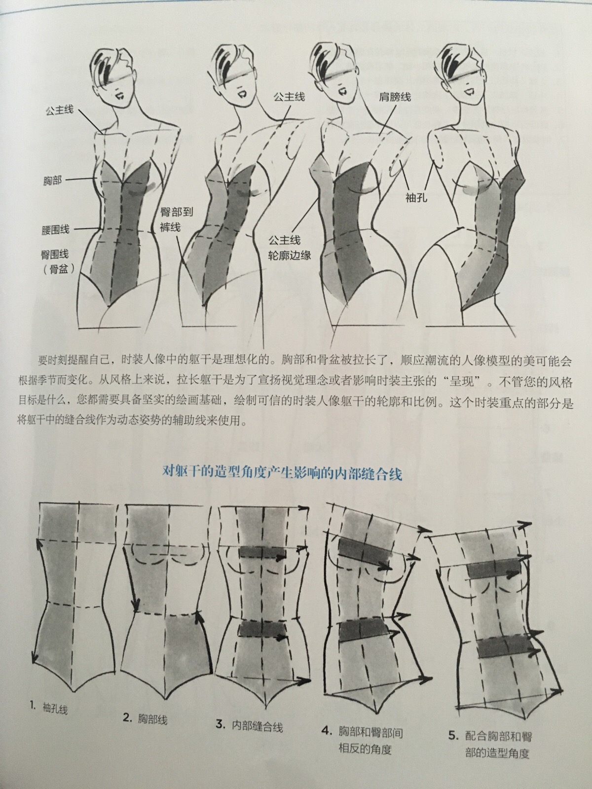 《美国经典时装画技法》躯干解析