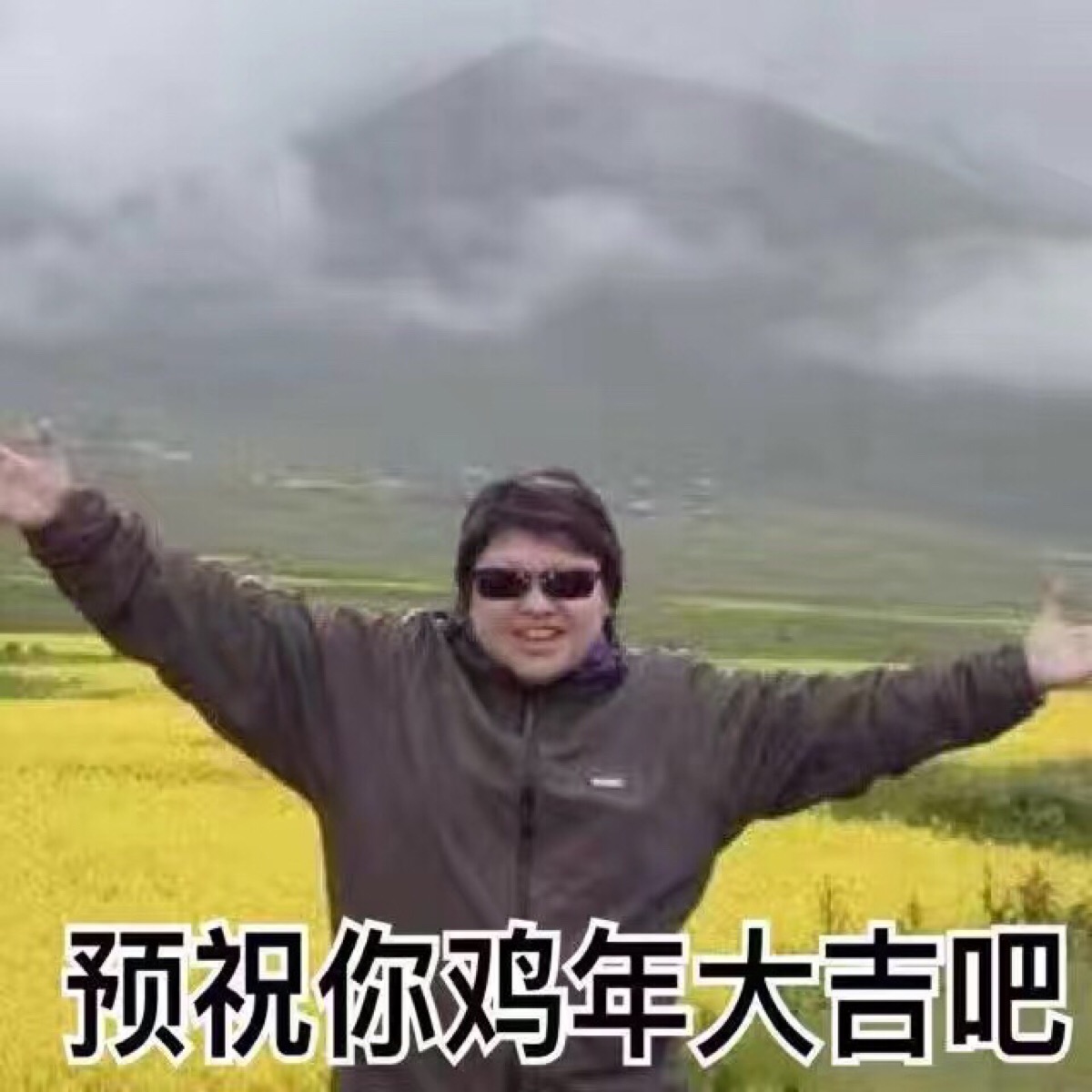 韩红表情包 预祝你鸡年大吉吧