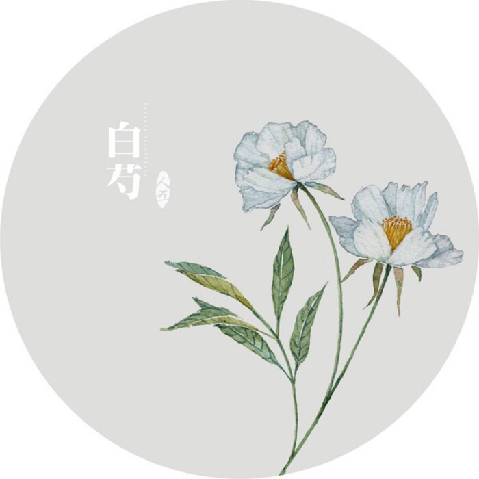 水彩画-植物