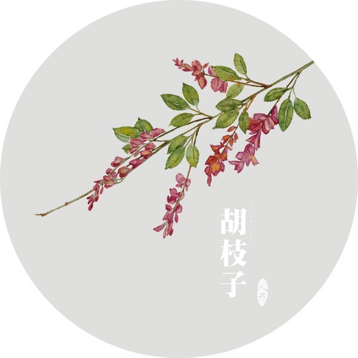 水彩画-植物