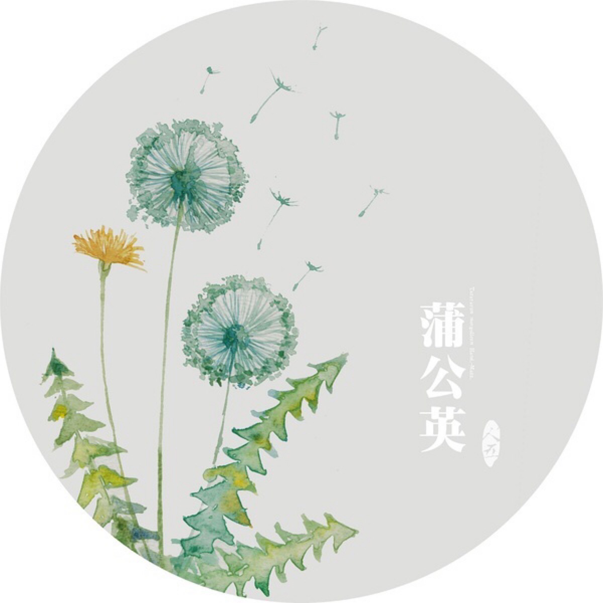 水彩画-植物