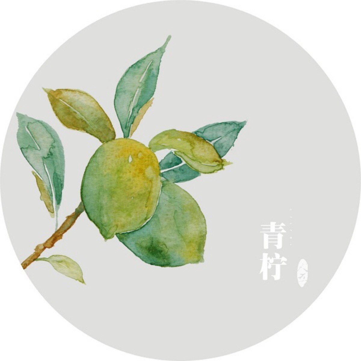 水彩画-植物