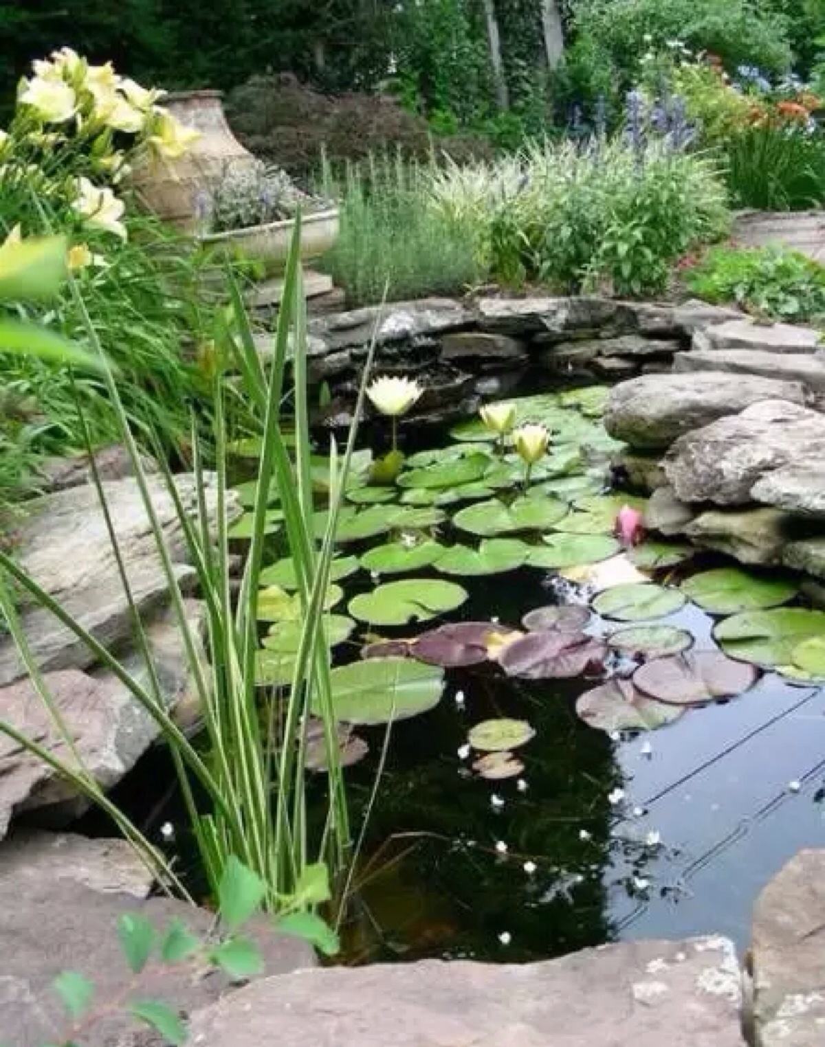 庭院水景设计