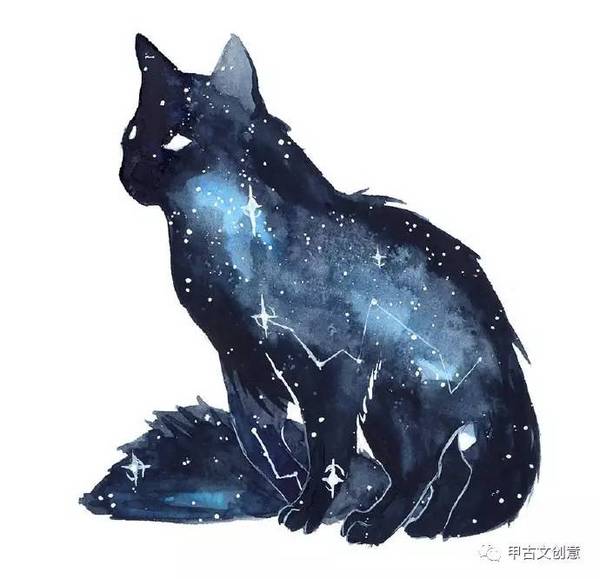 星空猫,壁纸,头像