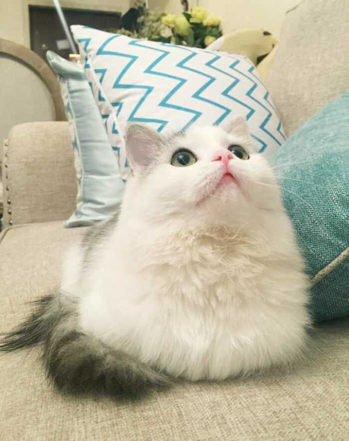 当你老了头发白了岁月迟暮我依然有幸陪在你…