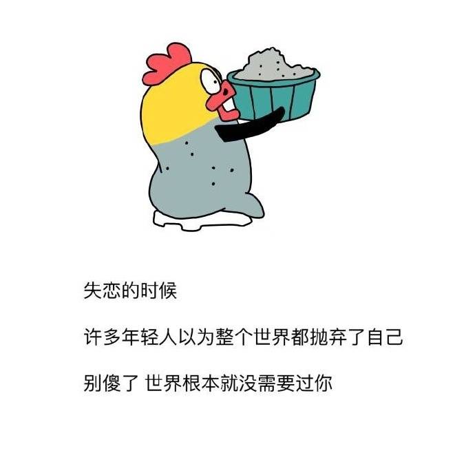 毒鸡汤 