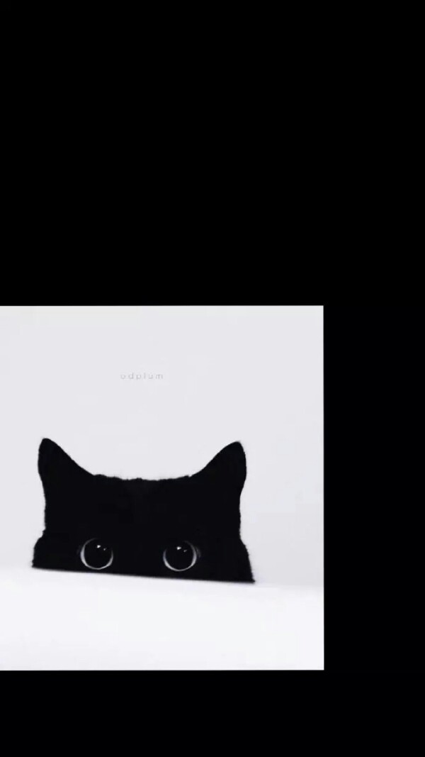 黑猫