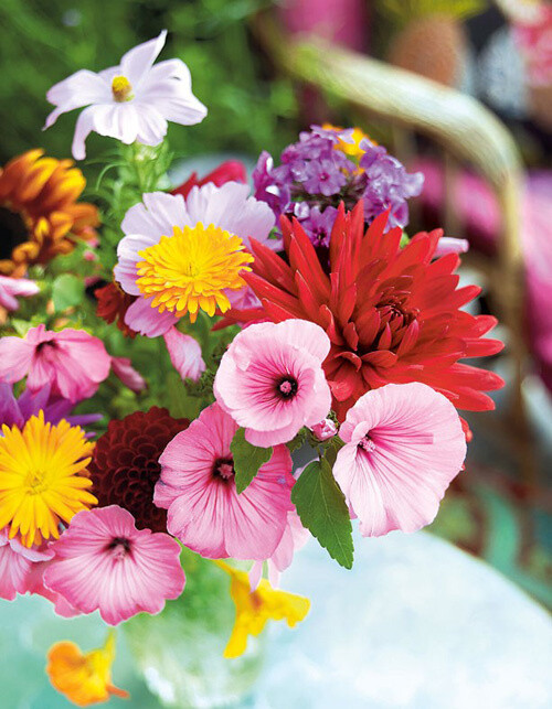 鲜花盛开的季节~好漂亮啊~各种样式各种颜色的花摆在一起真漂亮~,花园