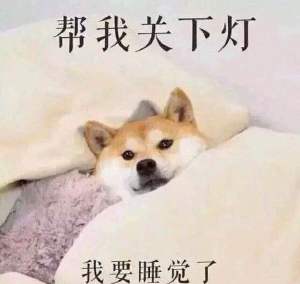 表情包 柴犬 doge