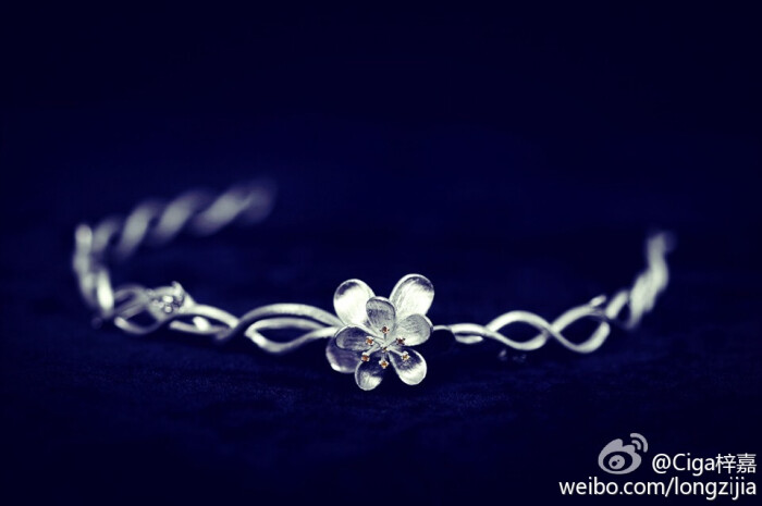 千呼万唤始出来,《偶像来了》女神赵丽颖的…