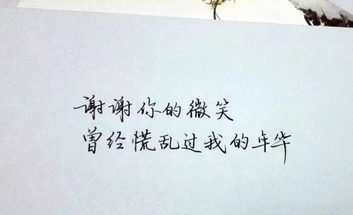 曾经慌乱过我的年华口口口文艺 锁屏 背景图片 备忘录 文字 句子 伤感