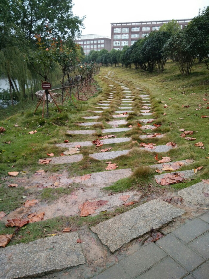 信阳学院