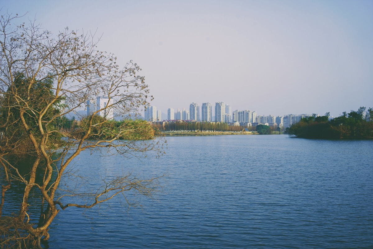 在建中的九龙湖湿地公园