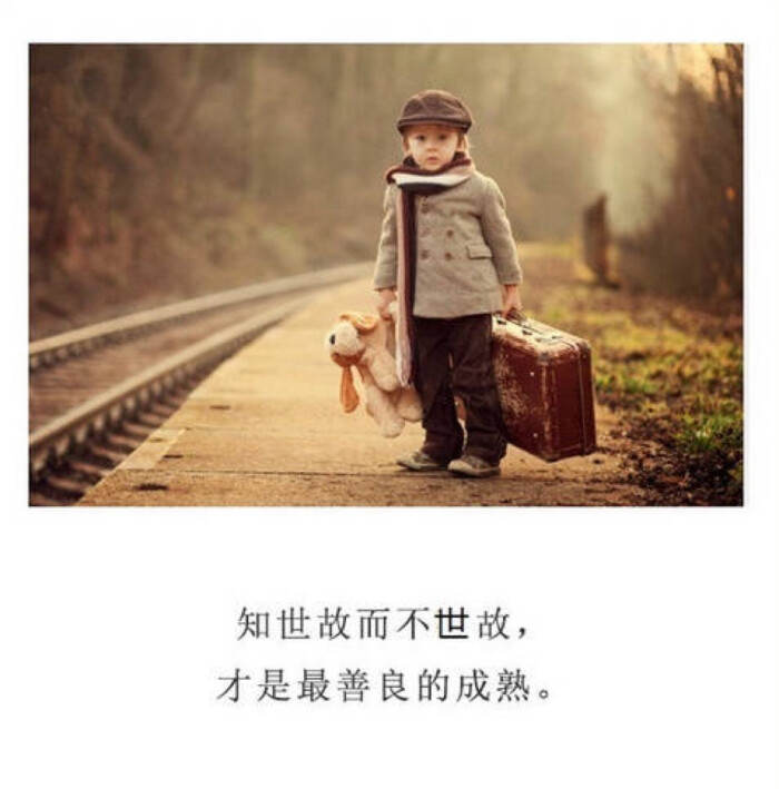 每一个懂事淡定的现在