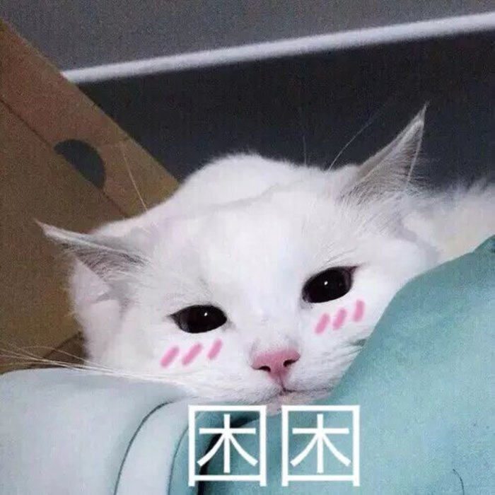 小猫困困表情包.