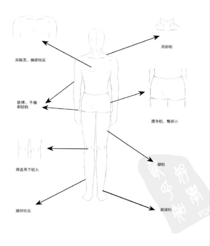 图转侵删#动漫人物人体比例,手绘吧