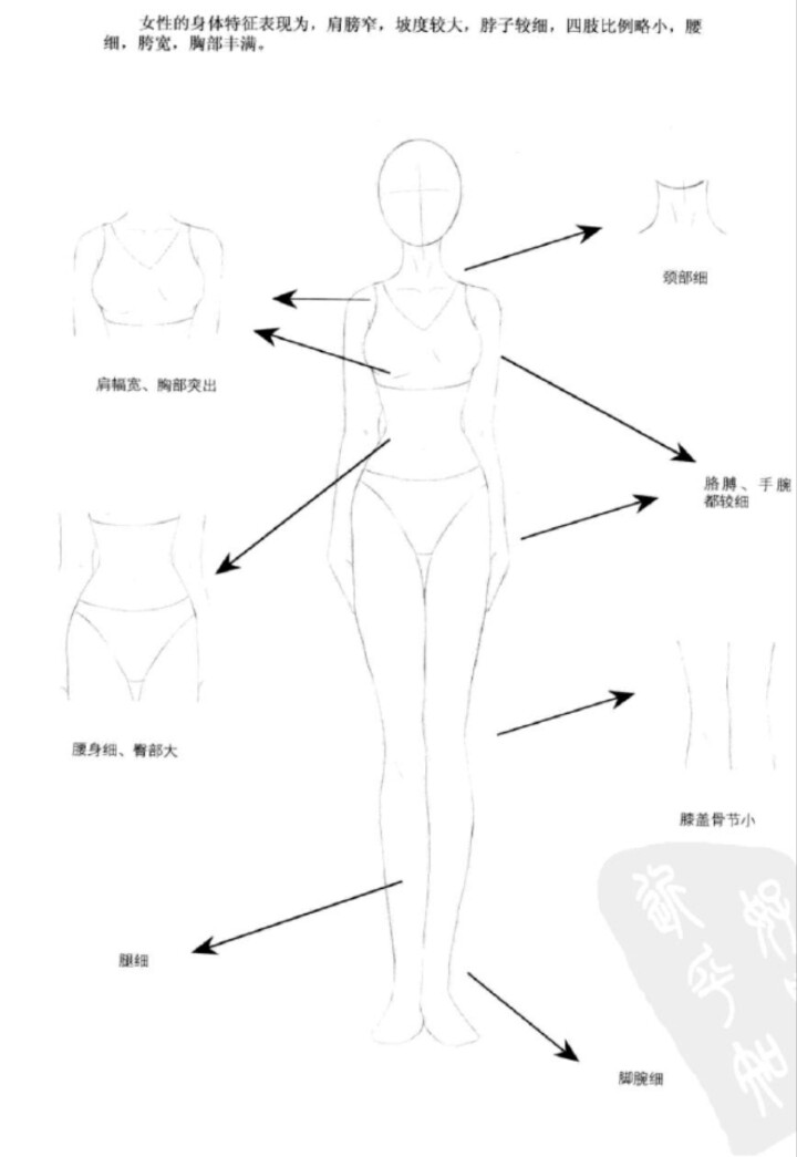 图转侵删#动漫人物人体比例,手绘吧