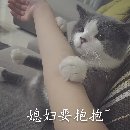 萌猫表情包,喜欢就收藏吧,mua~ by:沐雨.