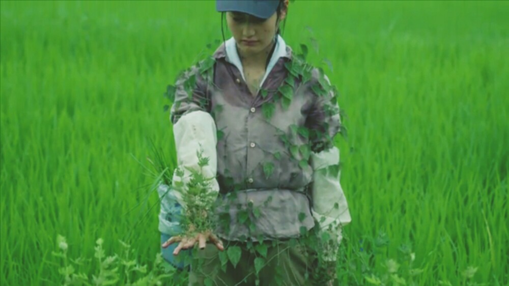 《小森林 夏秋篇》