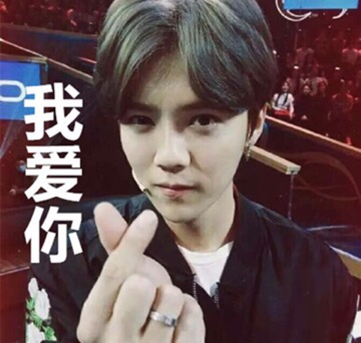 鹿晗表白表情