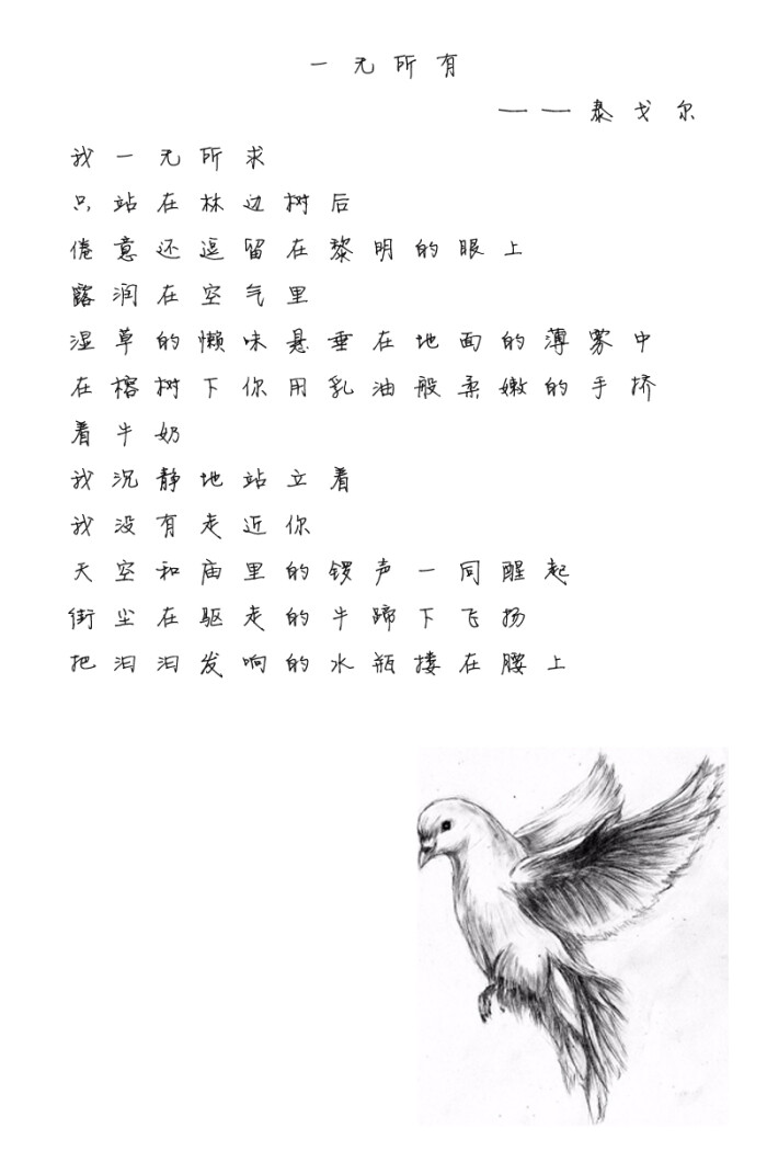 《一无所有》泰戈尔 黑白 铅笔画 手绘 插画