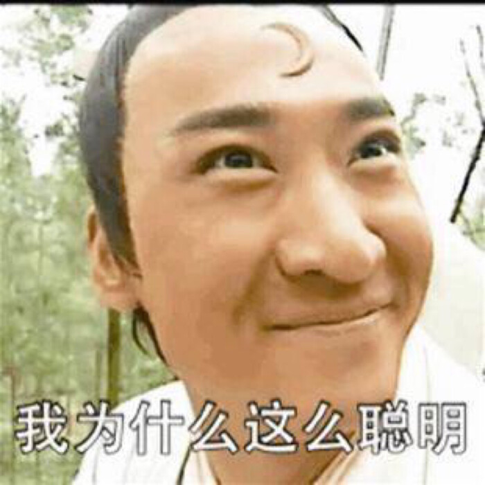 我为什么这么聪明