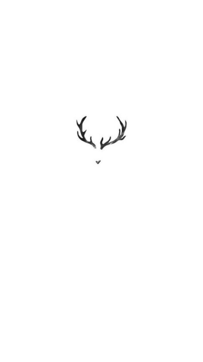 白色背景图片——鹿