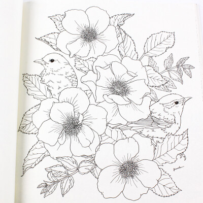 云木良品 正版花鸟乐园 秘密花园涂绘学院丛书 畅销日本的涂色书