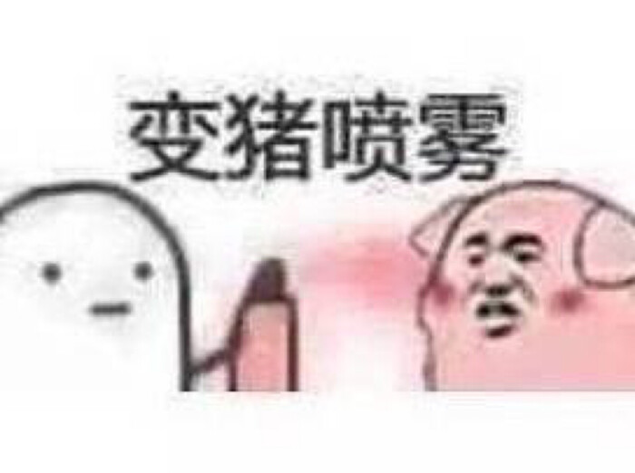 变猪喷雾表情包