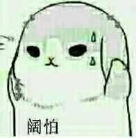 浣熊珍藏多年表情包,拿走留赞谢谢