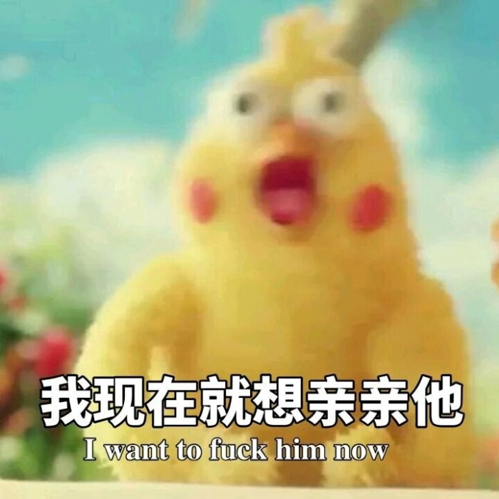 查看源网页