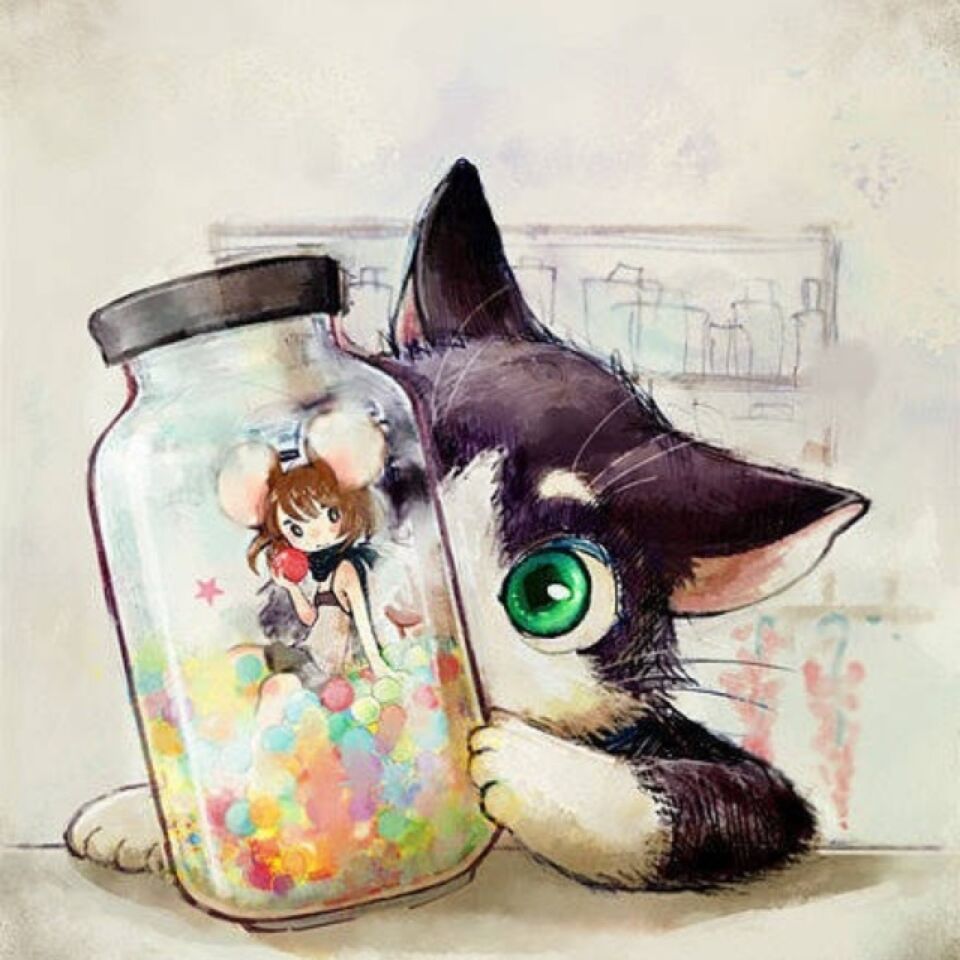 唯美图片,猫和瓶子里的女孩