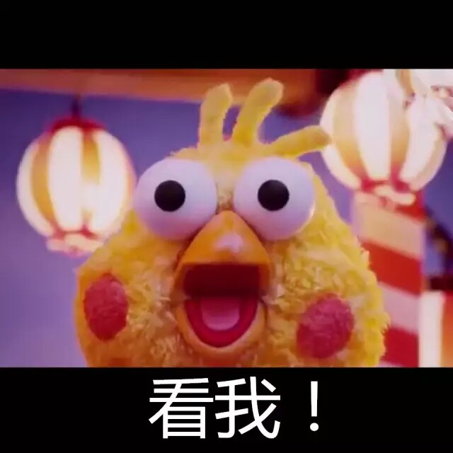 鹦鹉兄弟看我