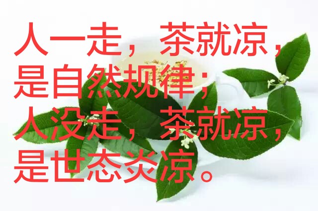 人一走,茶就凉,是自然规律