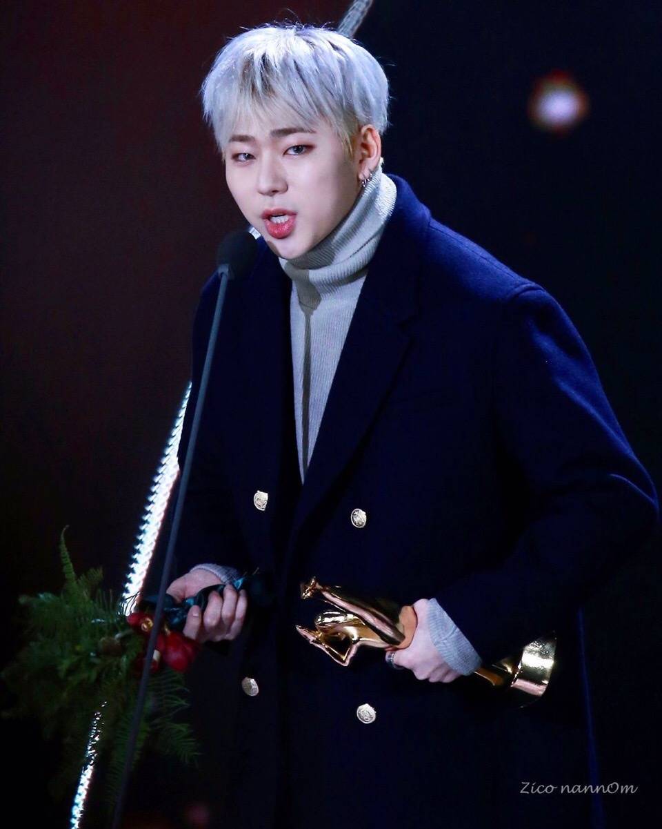 禹智皓 zico 170113 金唱片颁奖礼