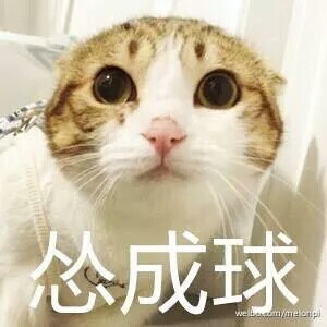 表情包#怂