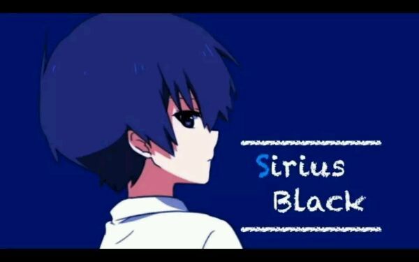 掠夺者四人组sirius black