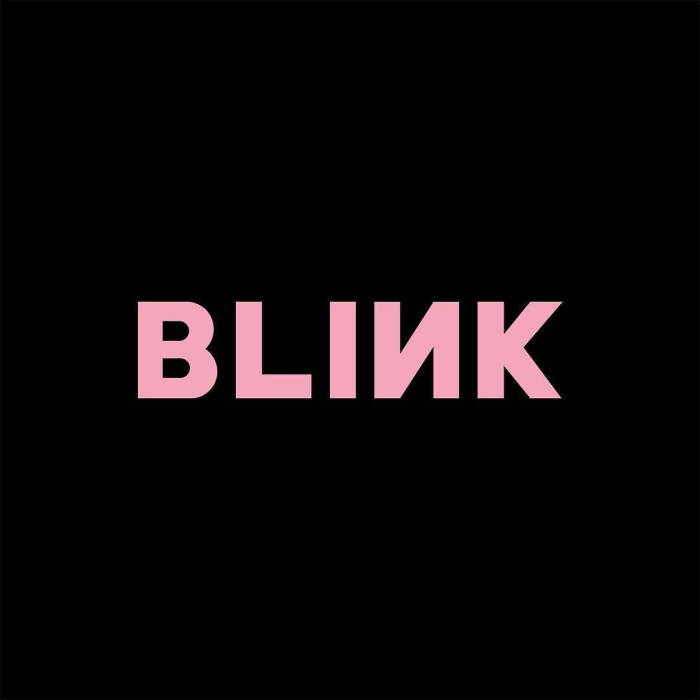 blackpink official ins更新 blink