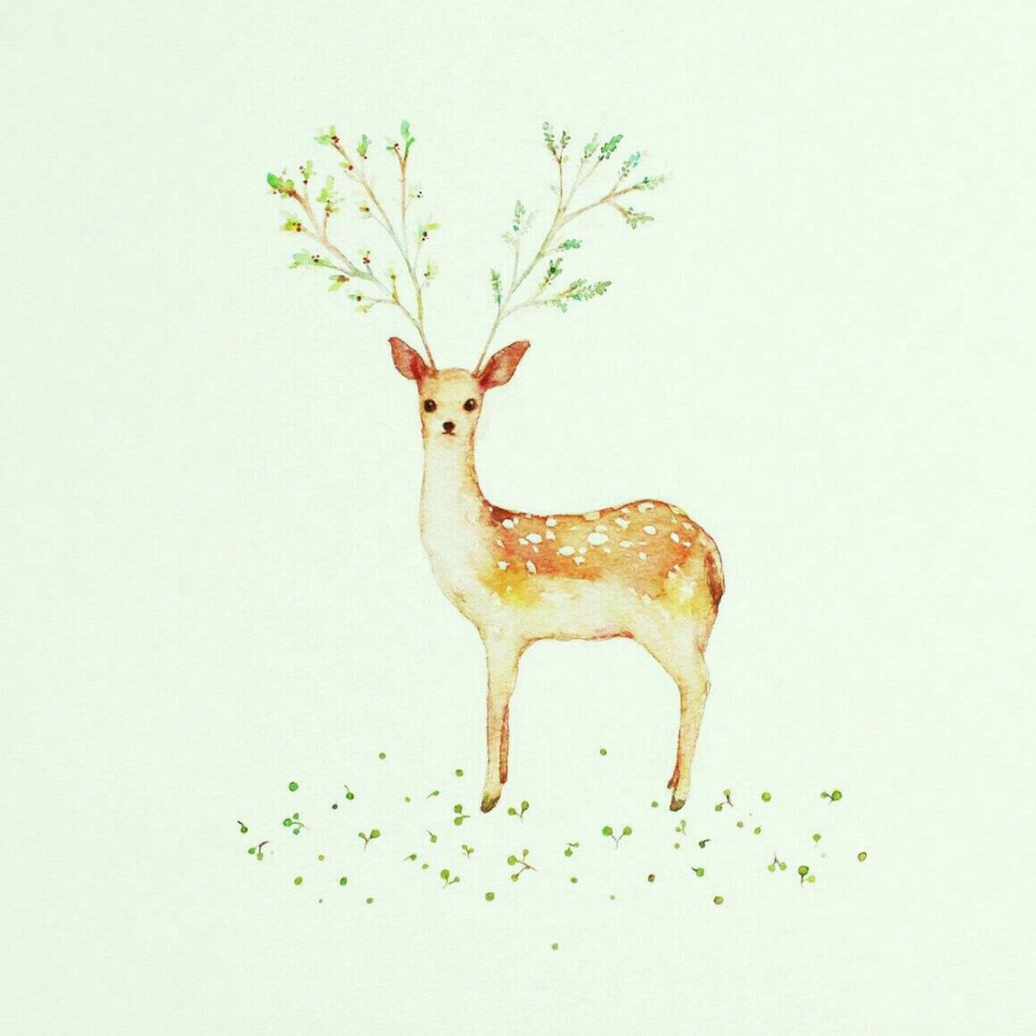 手绘 水彩 插画 小清新 动物 鹿