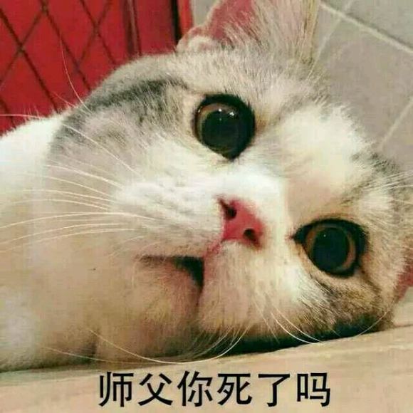 师徒表情包 剑网三