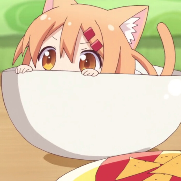 中文名 猫咪日常 原版名称 にゃんこデイズ ,小曼