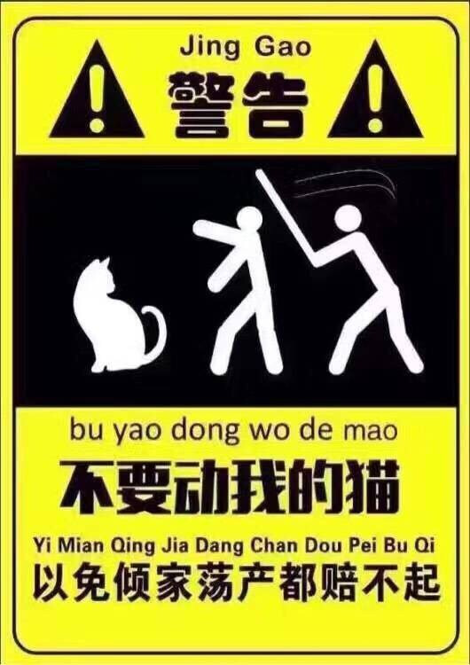 警告 不要动我的猫