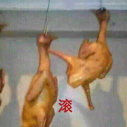 鸡年表情包