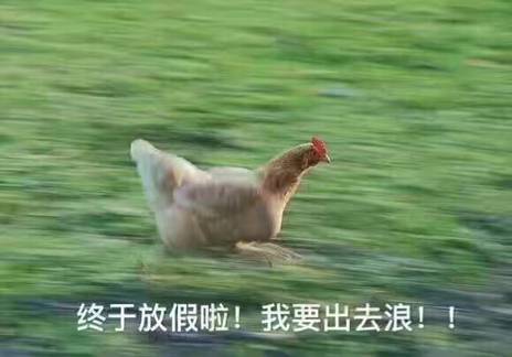鸡年表情包