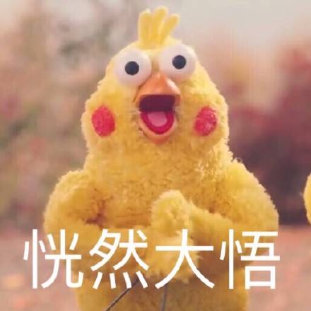 表情包# 鹦鹉兄弟
